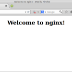 Startbild Nginx